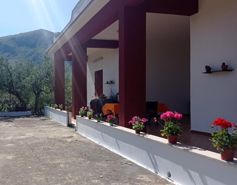 Villa Andrea - 1