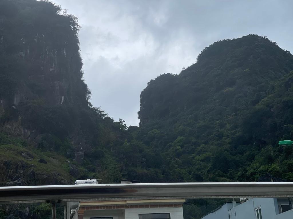 THE OWL HOMESTAY photo