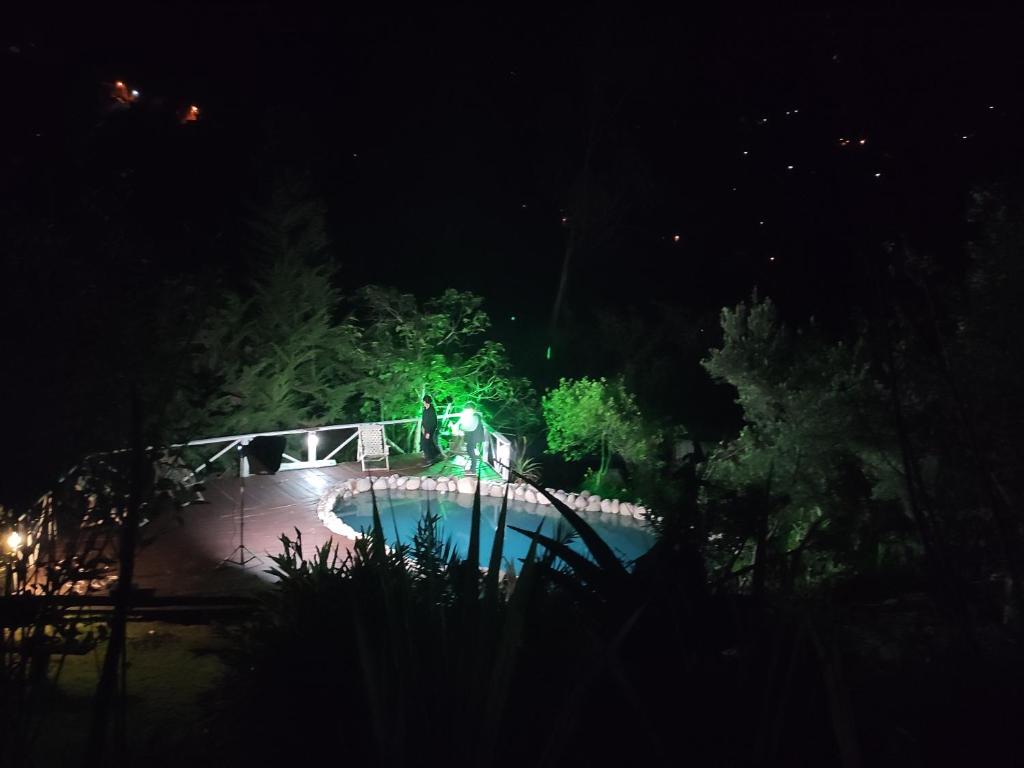 Altai Oasis Lodge photo