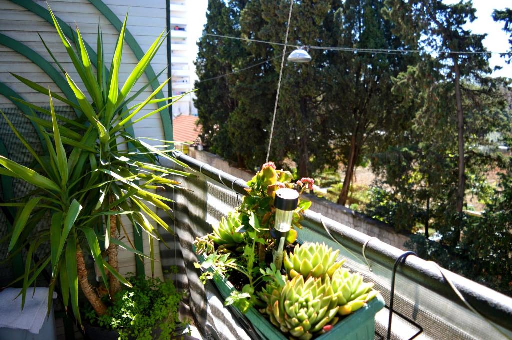 Spacious Apartment Center photo