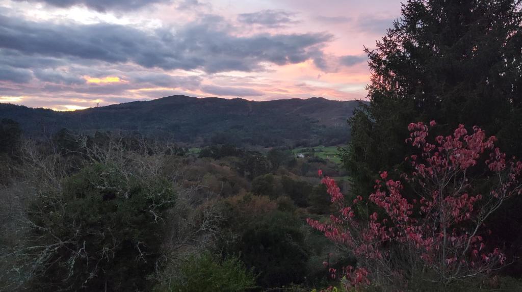 Casa da Labaceira, Quireza