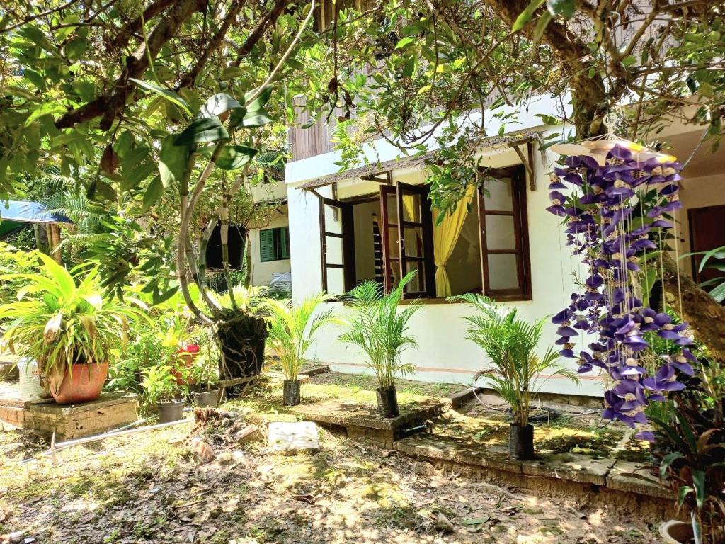 Jungle House Kep photo