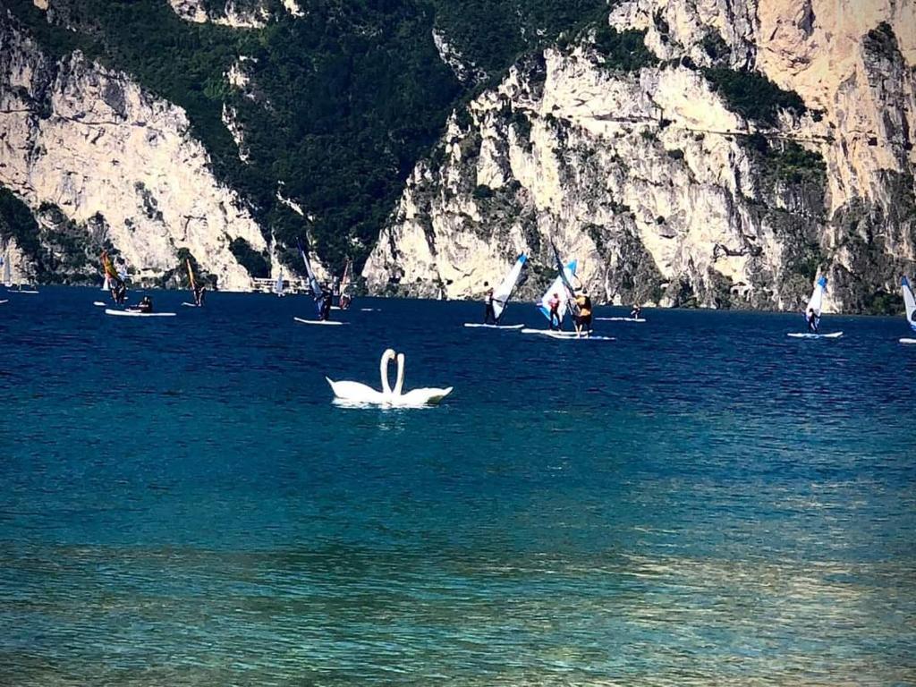Infinite Blue, Riva del Garda