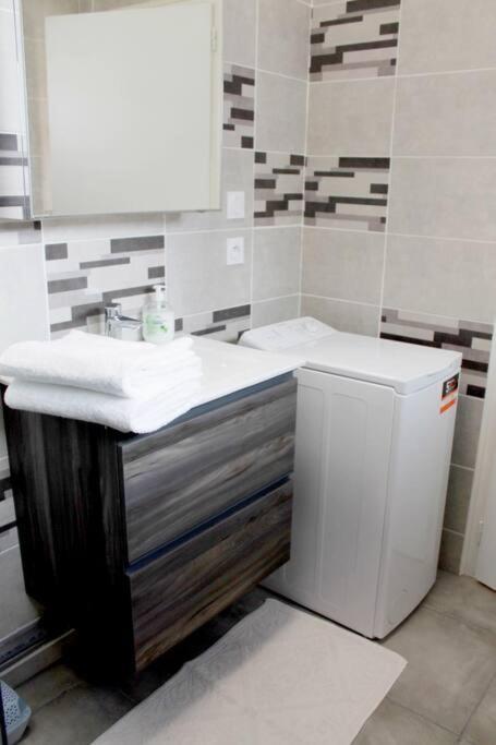 Saint Etienne : appartement Châteaucreux 40 M2 - 3