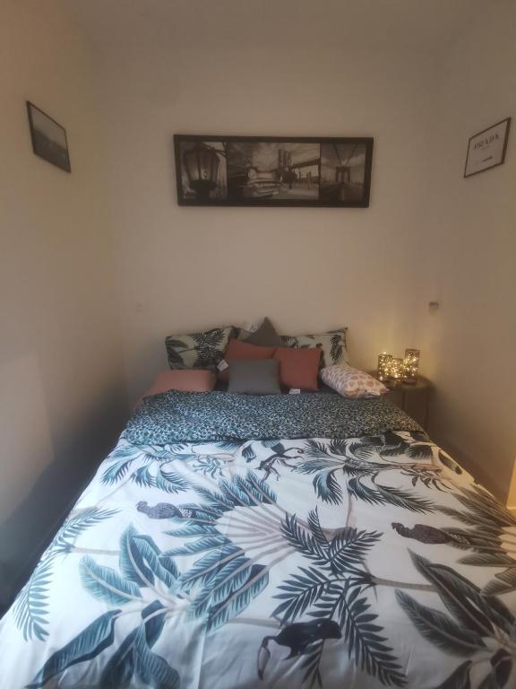 Appartement cozy en plein centre ville - 5
