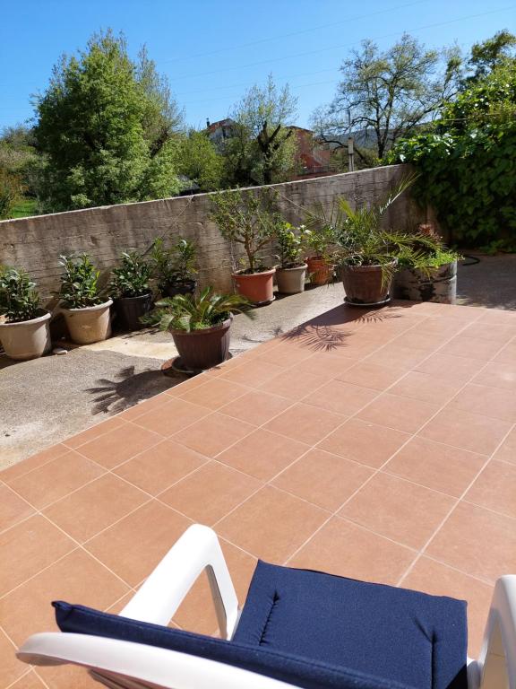 Apartmani Irena photo