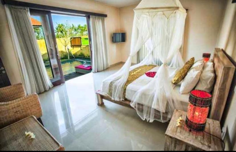 The Sawah Villa photo
