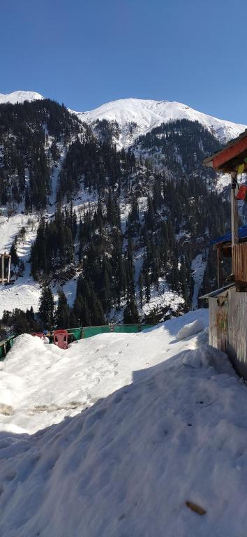 Chill House Cafe/Homestay Waichin Valley — Hotel in Malana