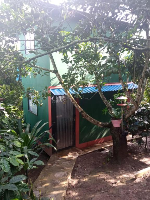 Paraiso la Mesa