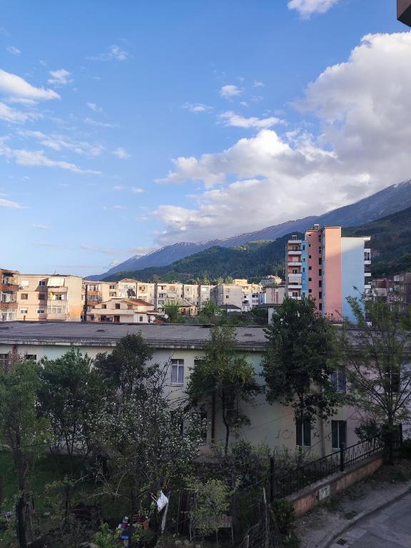 Albani's entire flat with nice view photo