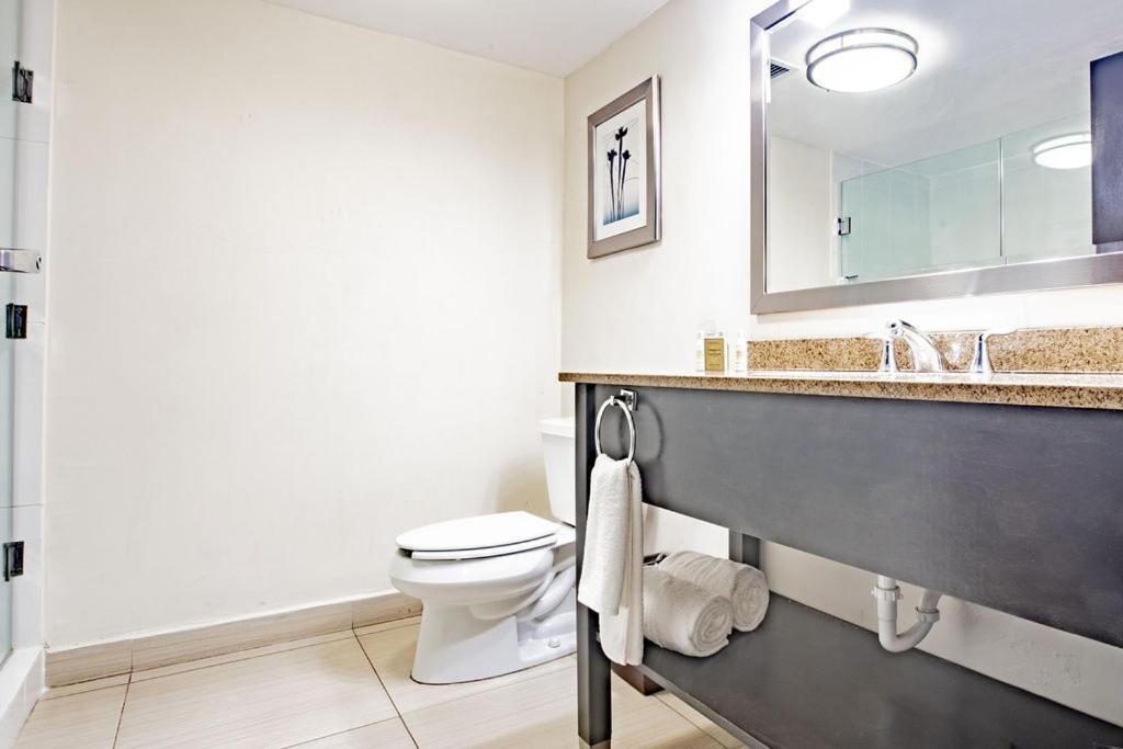 Studio Coliving Hotel photo