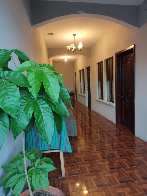 Hotel Posada Belen photo
