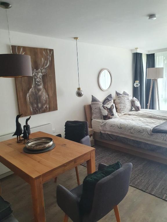 Maurers Schlierseetraum 6, Studio 455 mit 42 qm neu renoviert, Erdgeschoss mit eingezäunter Terrasse in ruhiger Lage am Kirchbichlweg 8 - 5
