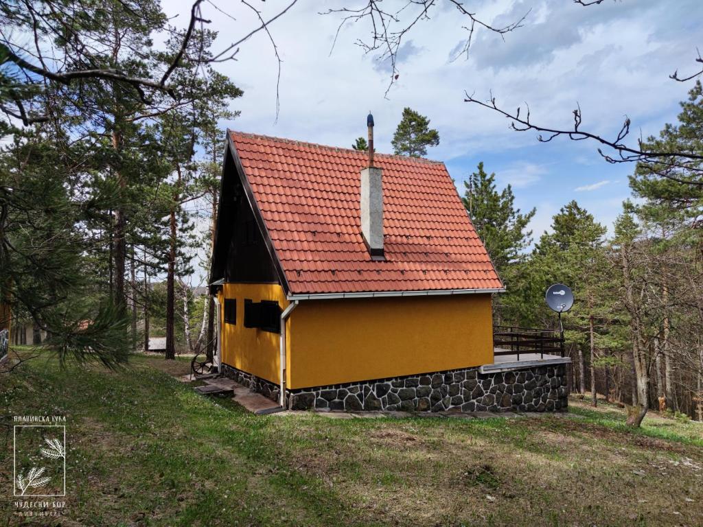 Planinska kuća Čudesni bor - 3