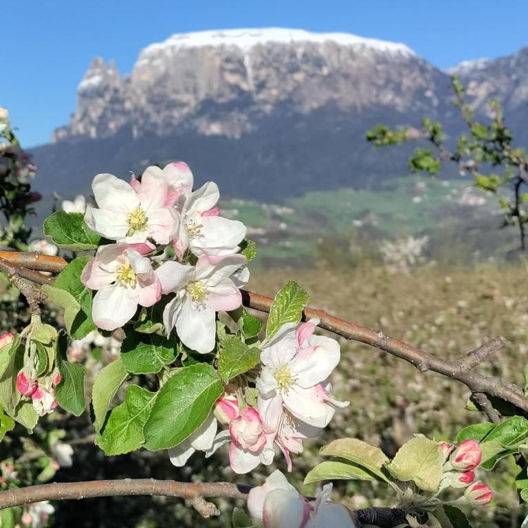 Gasthof Wunder photo