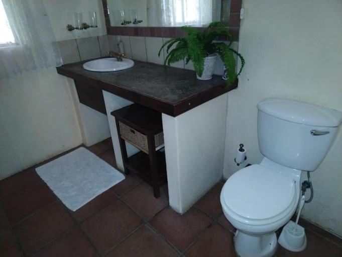 Buona Notte Guesthouse photo