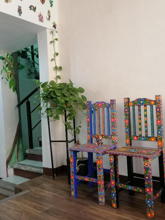 Casa los Arcos Oaxaca - 5