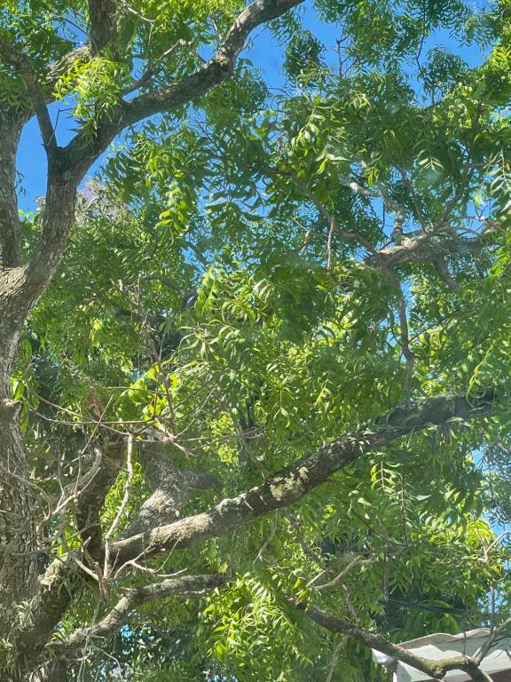 Nature's Hideaway, Anuradhápura