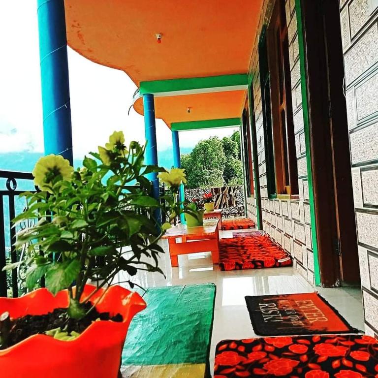 Snow pine guest house photo