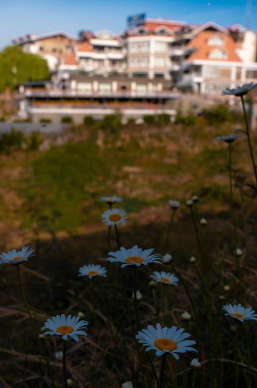 Surrounding environment