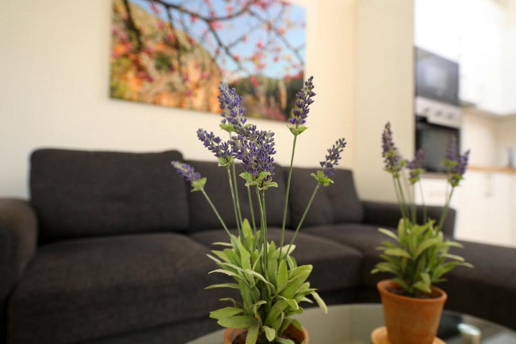 On the Beach (literally) stylish apartment with free P photo