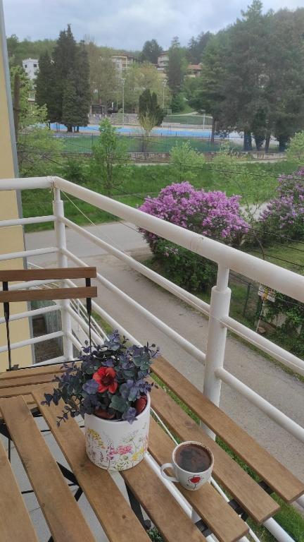 Apartment Simona photo