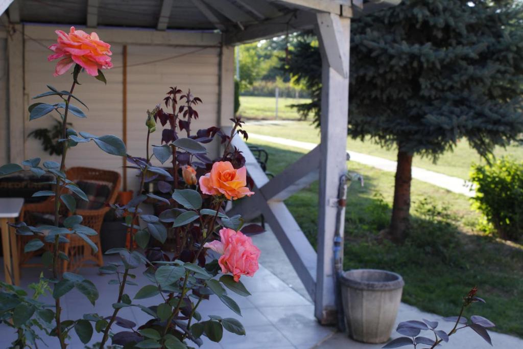 Facilities