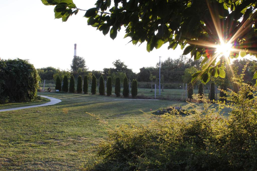 Surrounding environment