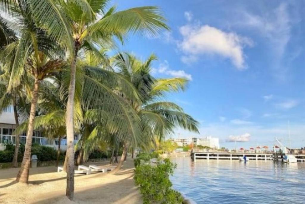 Apartamento en San Andrés Frente al Mar en Sun Rise - 4