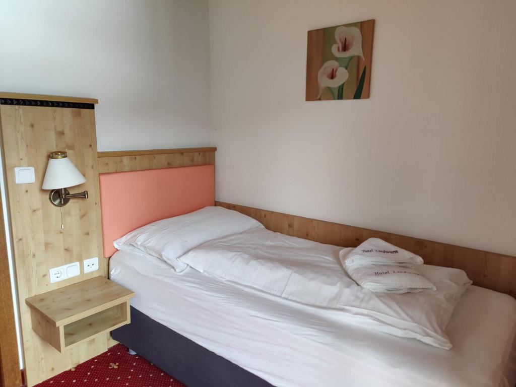 Hotel Lindwurm photo