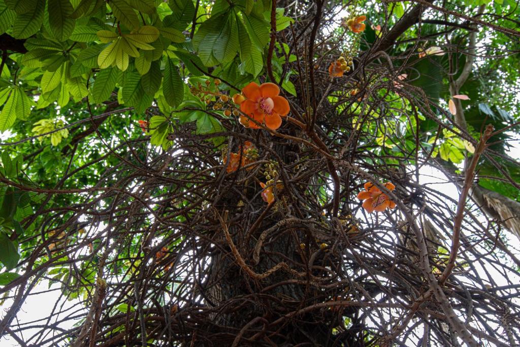 Surrounding environment