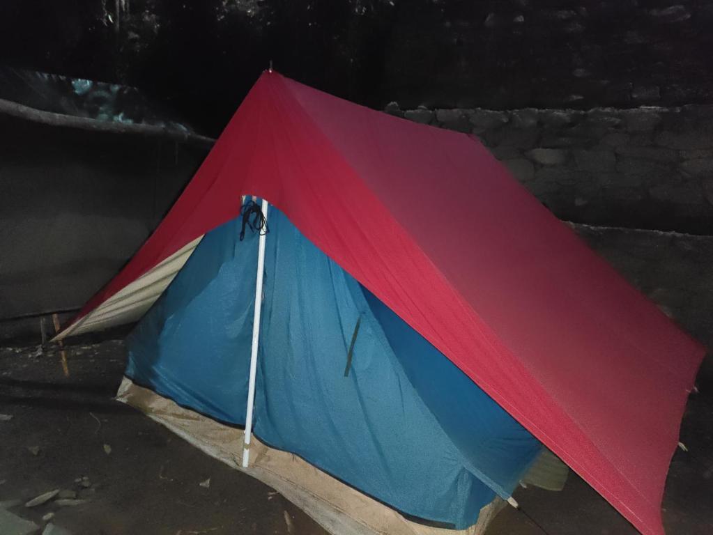 Nomadic Dalhousie photo