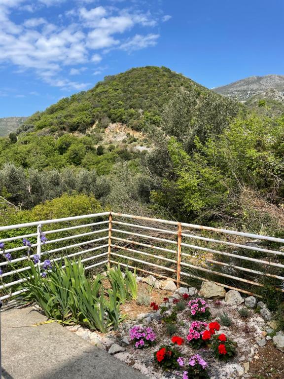 Apartments Villa Relax photo