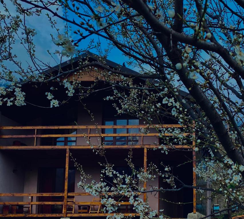 Cottage Kesane photo