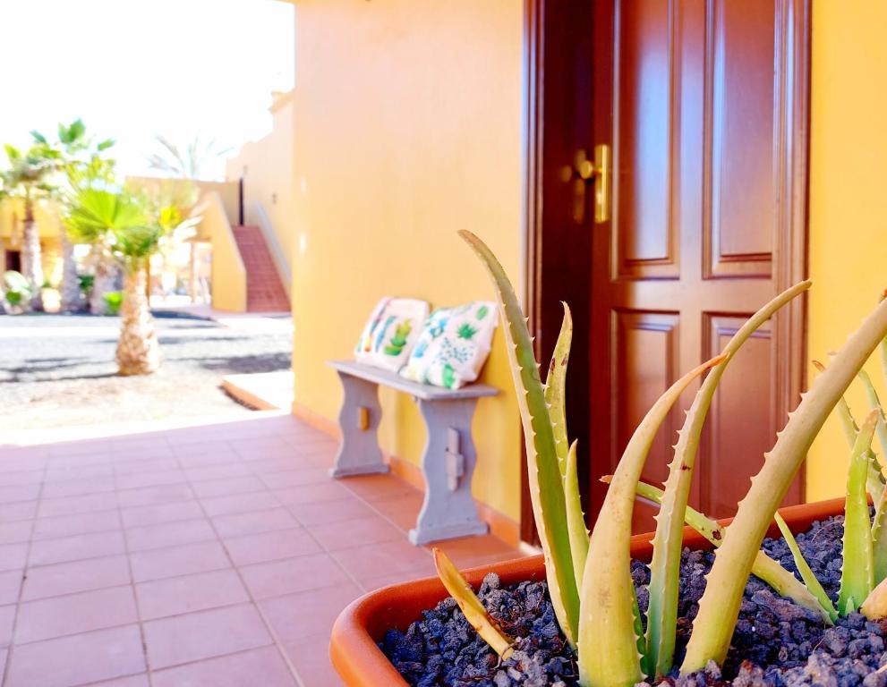 Casa Ledù - Sunny Holiday in Fuerteventura, Corralejo