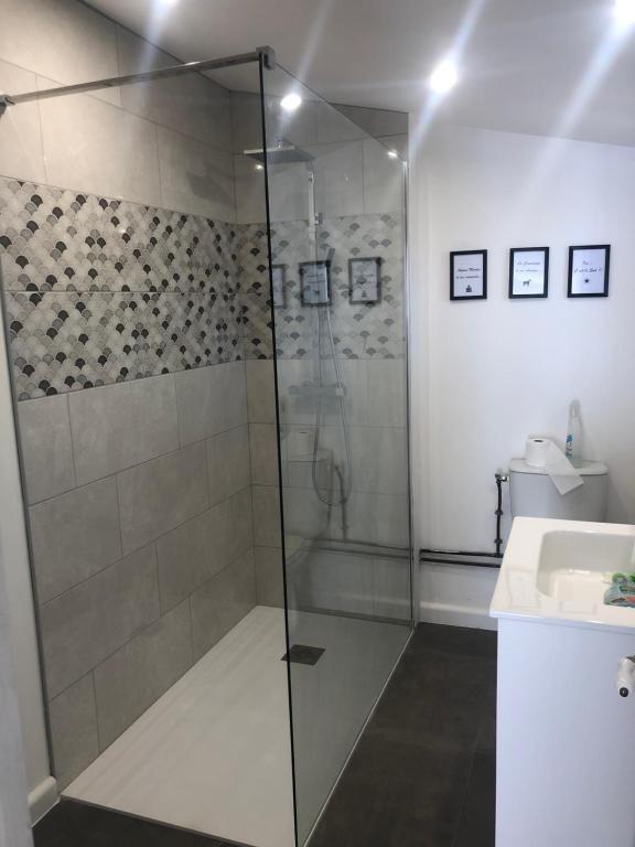 Studio refait à neuf avec jardin Aigues Mortes - 4