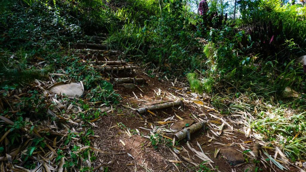 スポーツ/アクティビティ