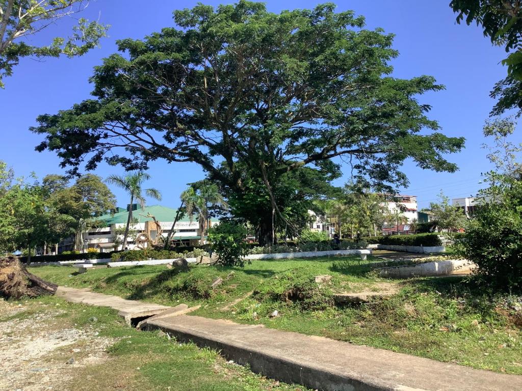 HFA Bldg  photo