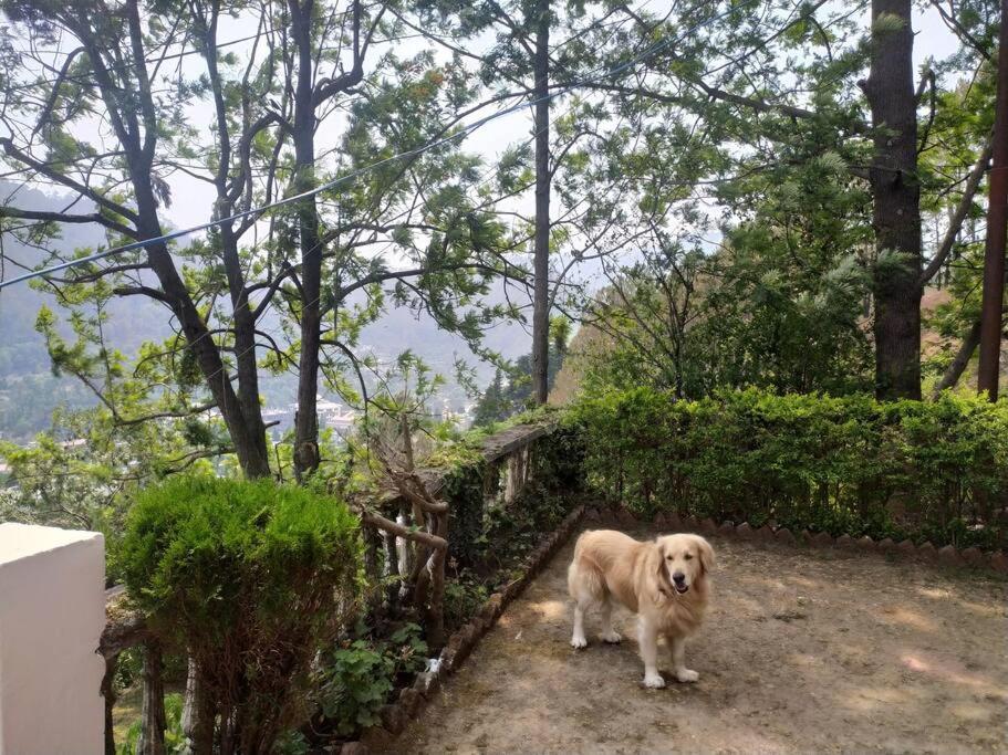 Whistling Thrush Cottage, Bhimtal (2bhk) photo