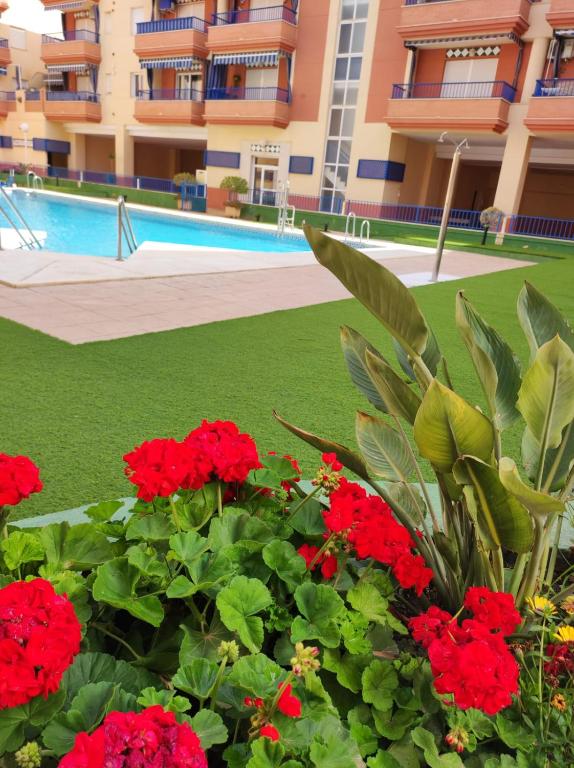 Paraiso Sol Lovely 1 bedroom in Torrox Costa - 1