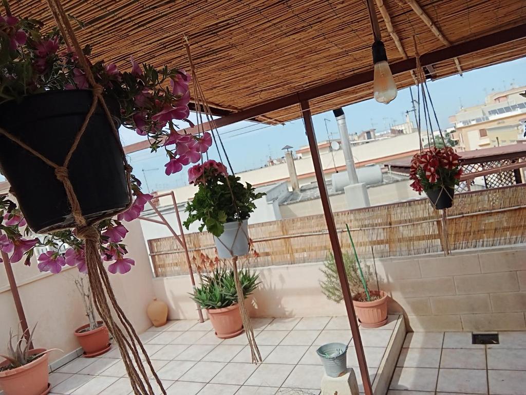 Casa Antica - 3
