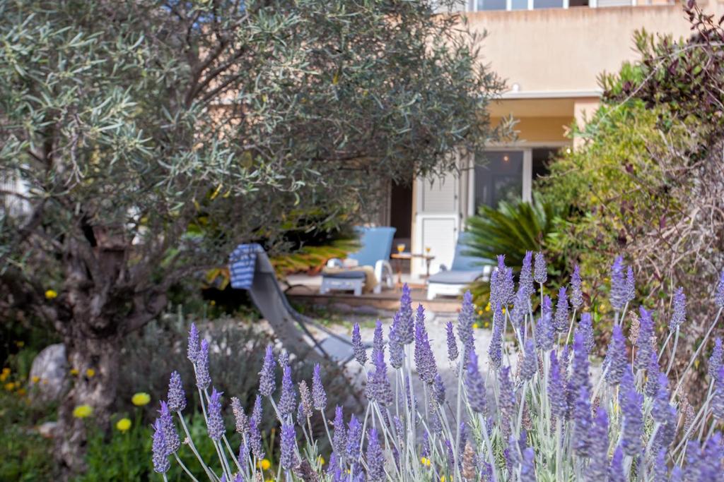 Appartement Casa Linda avec jardin 900m de la plage et du centre ville - 2