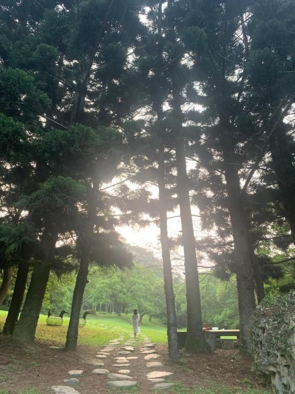 Surrounding environment