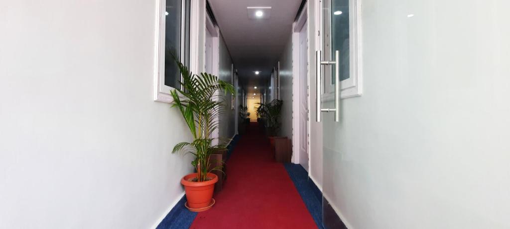 B R Inn photo