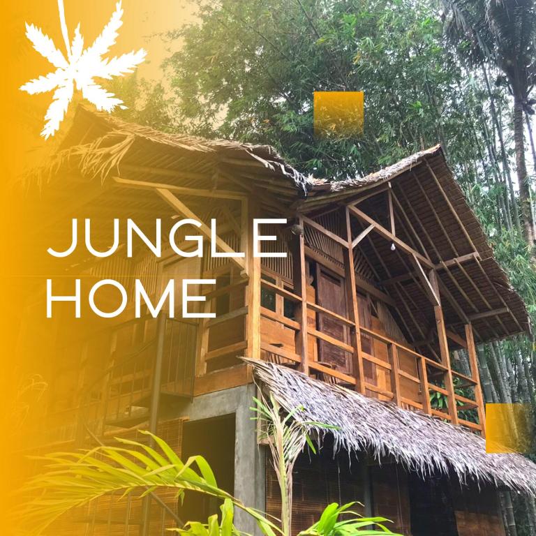 шри ланка бунгало. Home jungle. дом с тропическими камнем стеклом. Home jungle. мальдивы тропики бунгало.