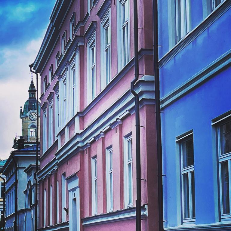 PikkuParlamentti photo