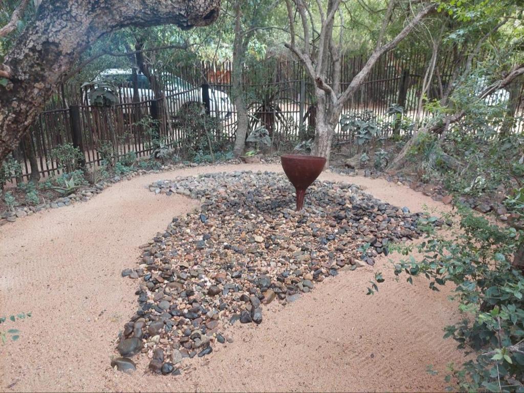 African Sky Bush Camp — Hotel in Thornybush Game Reserve
