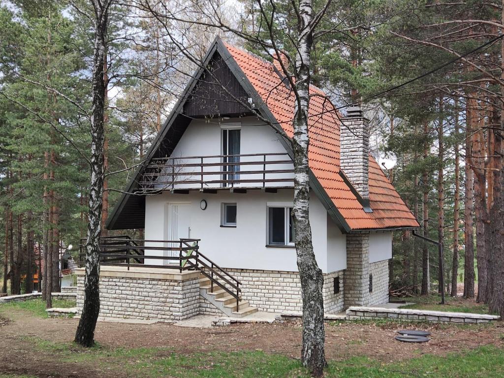 PLANINSKA VILA SMIGIC - 5