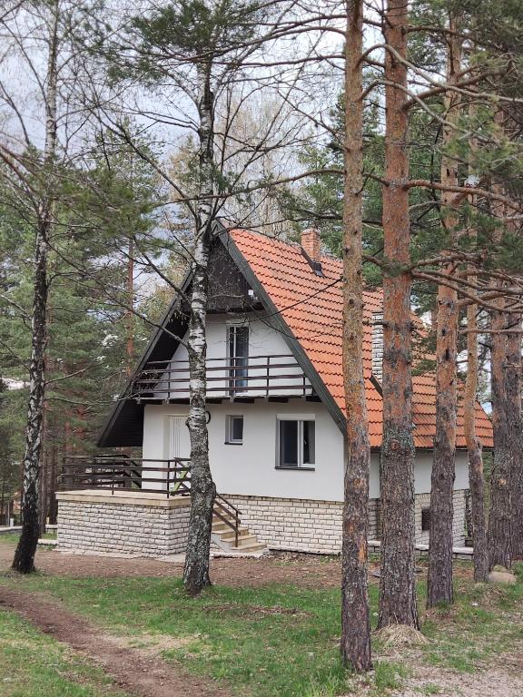 PLANINSKA VILA SMIGIC - 4