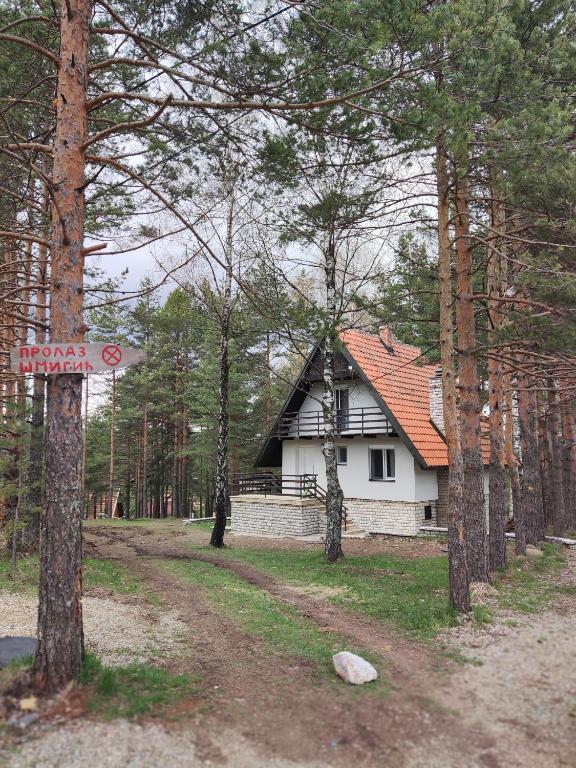 PLANINSKA VILA SMIGIC - 3
